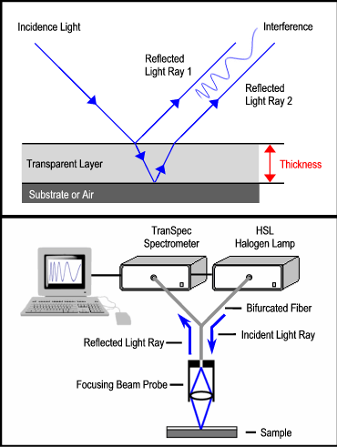 Interference Model